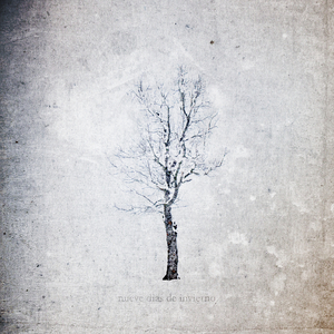 黄色derpixon网站在线观看
